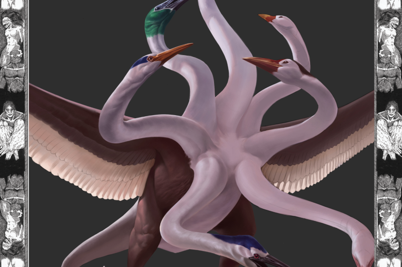 The Bird of Mount Gurayn – 2